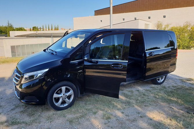 van-tour-with-professional-driver-guide