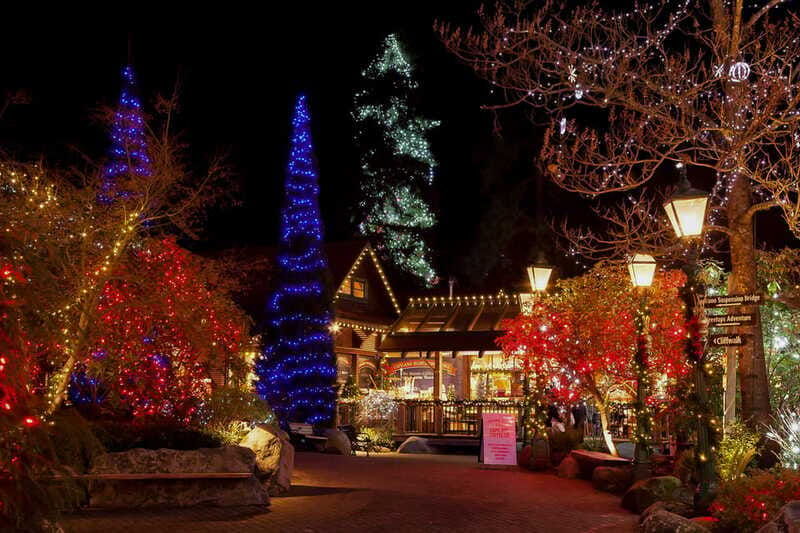 vancouver-and-capilano-suspension-bridge-canyon-lights