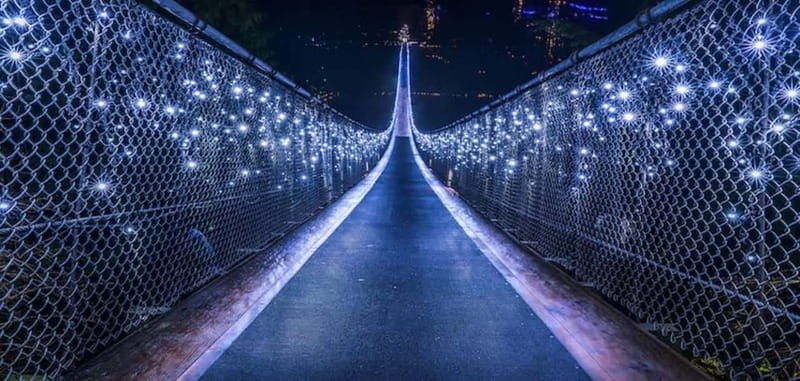 vancouver-attractions-by-twilight-guided-tour-with-dinner
