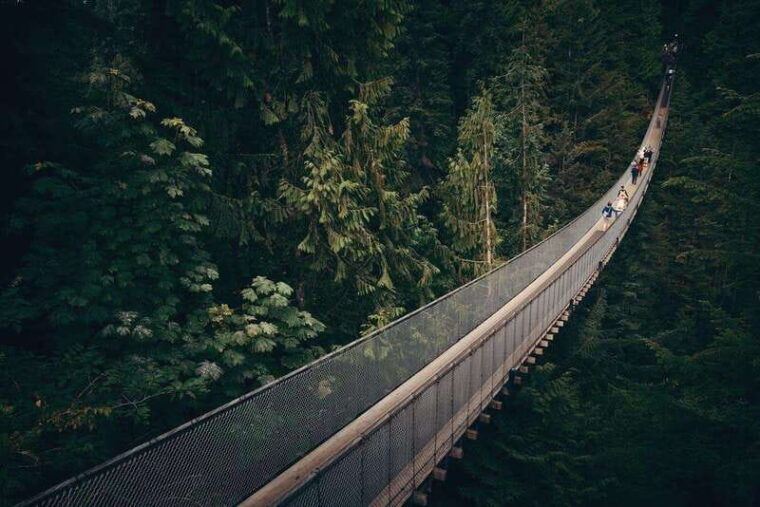 vancouver-attractions-by-twilight-guided-tour-with-dinner