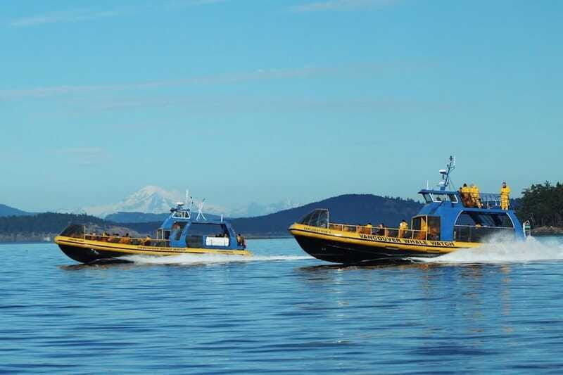 vancouver-bc-whale-watching-tour-with-guide