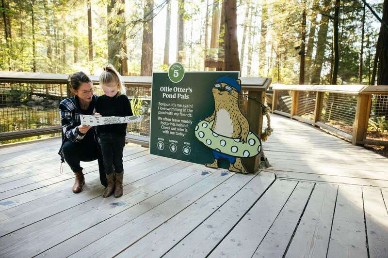 vancouver-capilano-suspension-bridge-park-ticket