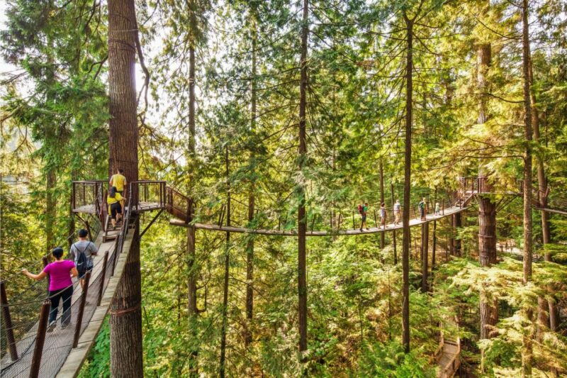 vancouver-capilano-suspension-bridge-park-ticket