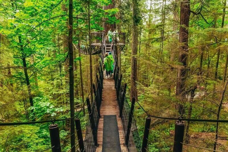 vancouver-capilano-suspension-bridge-sightseeing-half-day