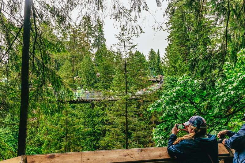 vancouver-capilano-suspension-bridge-sightseeing-half-day
