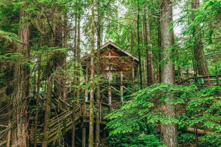 vancouver-capilano-suspension-bridge-sightseeing-half-day