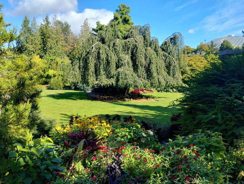 vancouver-car-tour-see-all-city-attractions-save-timemoney