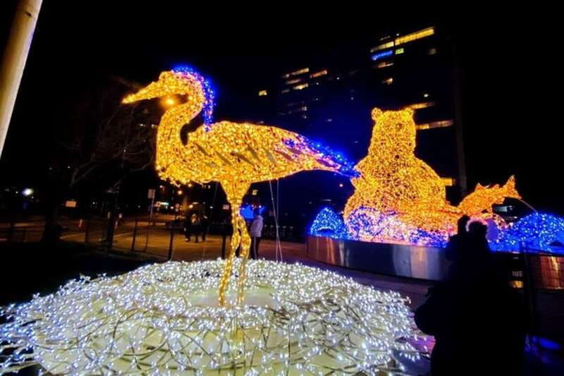 vancouver-christmas-light-tour-private