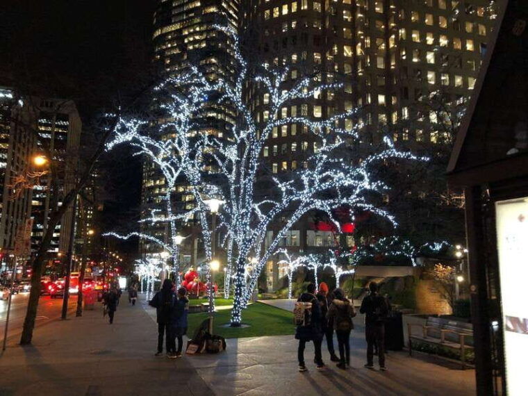 vancouver-christmas-light-tour-private