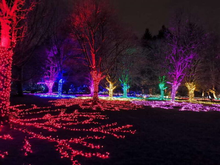 vancouver-christmas-tour-with-light-festival-entrance