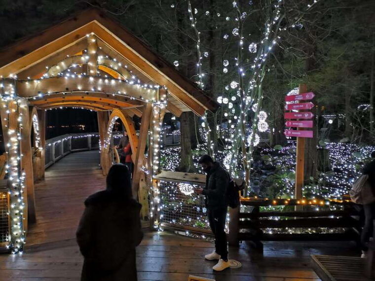 vancouver-christmas-tour-with-light-festival-entrance