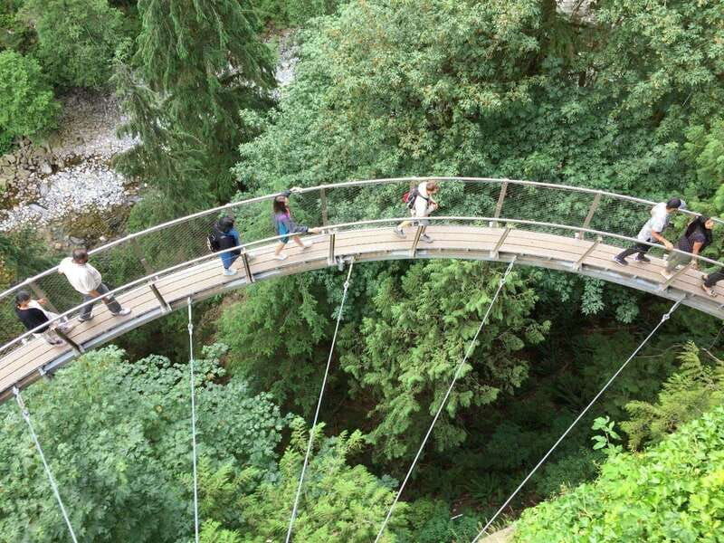 vancouver-city-and-mountain-adventure-with-grouse-mountain