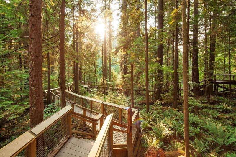 vancouver-city-highlights-bus-tour