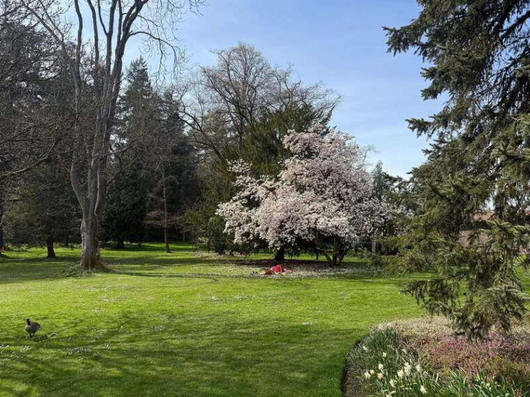 vancouver-city-tourlux-carstanley-parktotemchinagastown