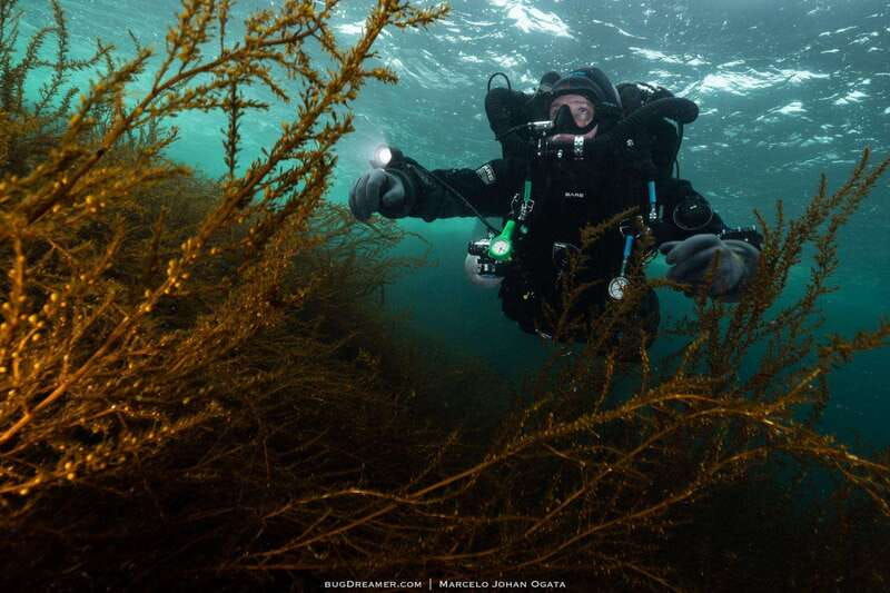 vancouver-discover-the-best-scubadiving-sites-by-boat