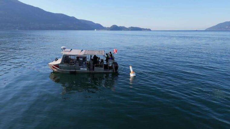 vancouver-discover-the-best-scubadiving-sites-by-boat