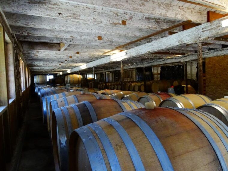 vancouver-full-day-city-tour-and-wine-tasting