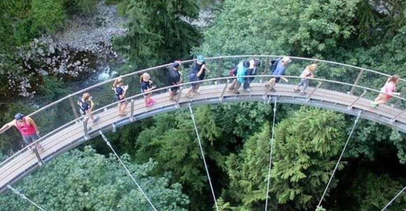 vancouver-grouse-mountain-capilano-suspension-bridge