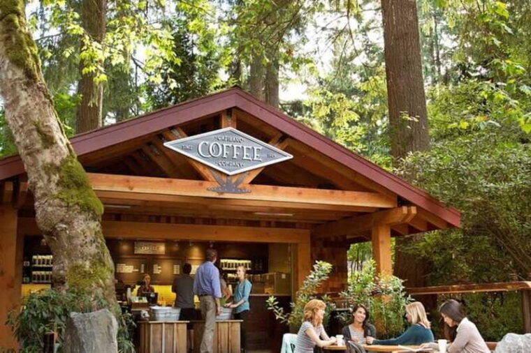 vancouver-grouse-mountain-capilano-suspension-bridge