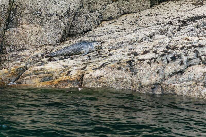 vancouver-indian-arm-and-granite-falls-zodiac-boat-tour