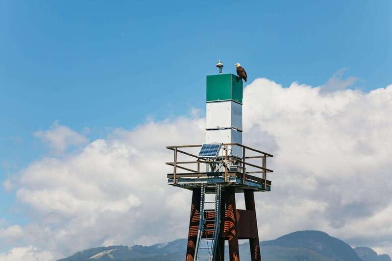 vancouver-indian-arm-and-granite-falls-zodiac-boat-tour