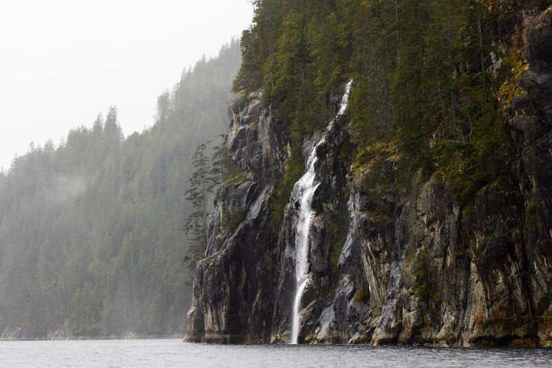 vancouver-island-full-day-grizzly-bear-tour-at-toba-inlet