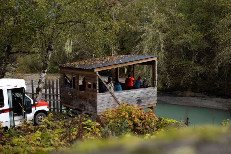 vancouver-island-full-day-grizzly-bear-tour-at-toba-inlet