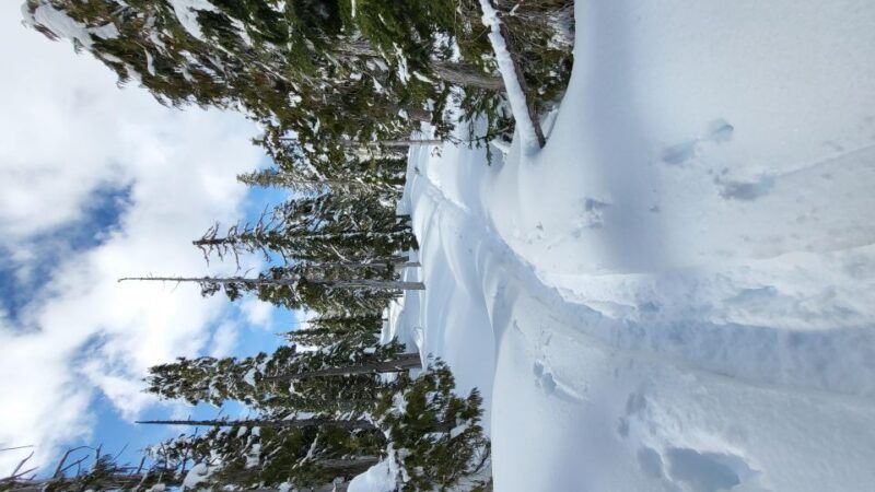 vancouver-island-snowshoeing-and-sauna-tour