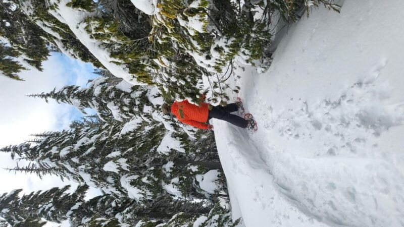 vancouver-island-snowshoeing-and-sauna-tour