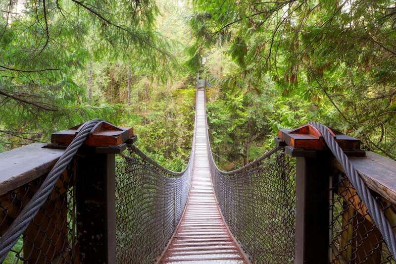 vancouver-lynn-valley-suspension-bridge-nature-walk-tour