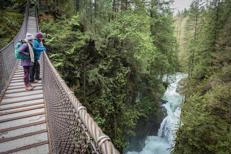 vancouver-lynn-valley-suspension-bridge-nature-walk-tour