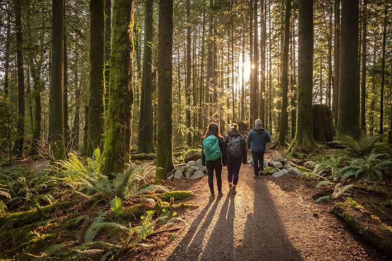 vancouver-lynn-valley-suspension-bridge-nature-walk-tour