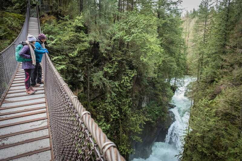 vancouver-lynn-valley-suspension-bridge-nature-walk-tour