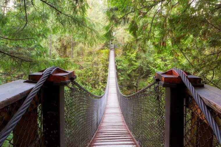 vancouver-lynn-valley-suspension-bridge-nature-walk-tour