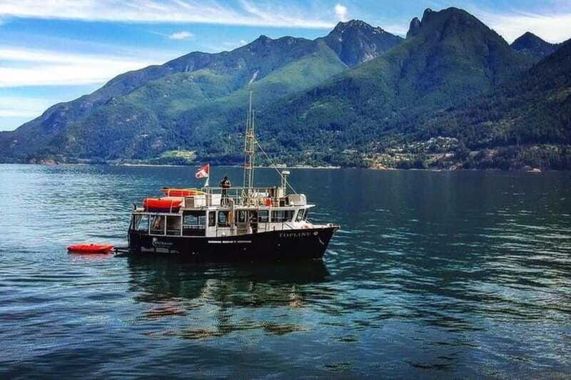 vancouver-morning-kayak-seal-cruise