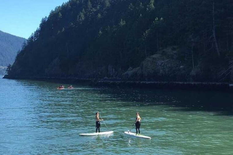 vancouver-morning-kayak-seal-cruise
