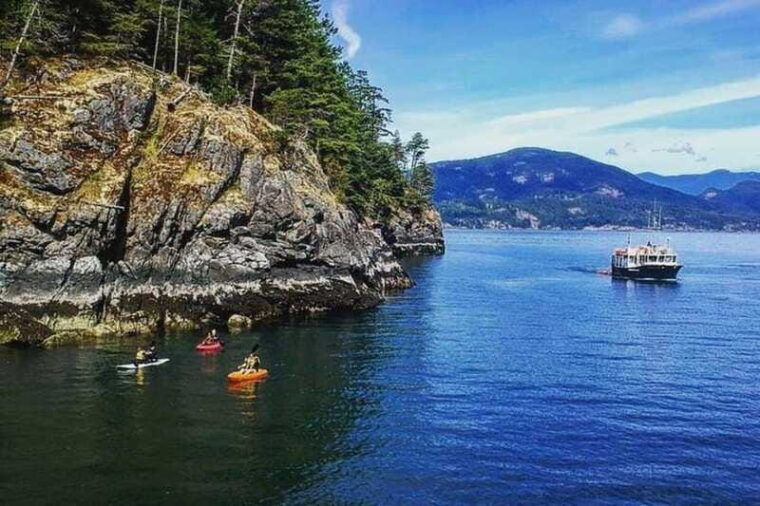 vancouver-morning-kayak-seal-cruise