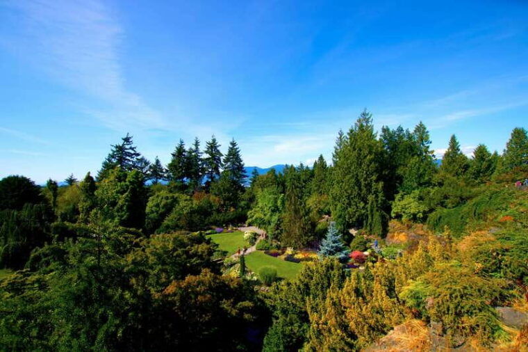 vancouver-private-city-sights-tour-by-minibus-3hrs
