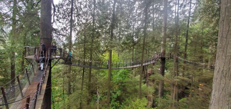 vancouver-stanley-park-gastown-tour-suspension-bridge