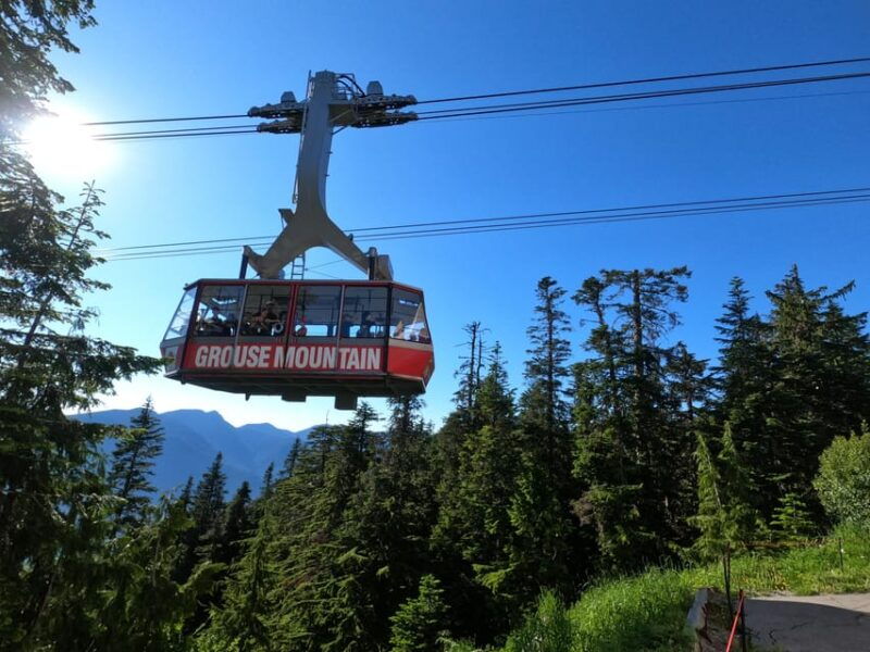 vancouver-stanley-park-gastown-tour-suspension-bridge