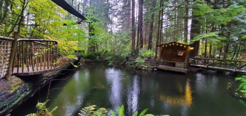 vancouver-stanley-park-gastown-tour-suspension-bridge
