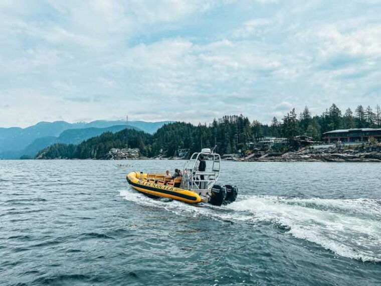 vancouver-waterfront-sightseeing-tour-city-and-nature