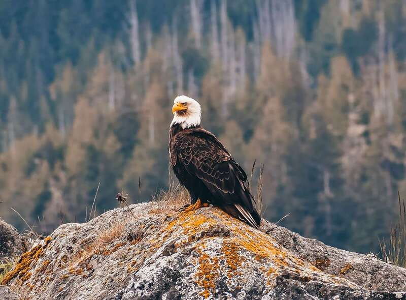 vancouver-waterfront-sightseeing-tour-city-and-waterfall