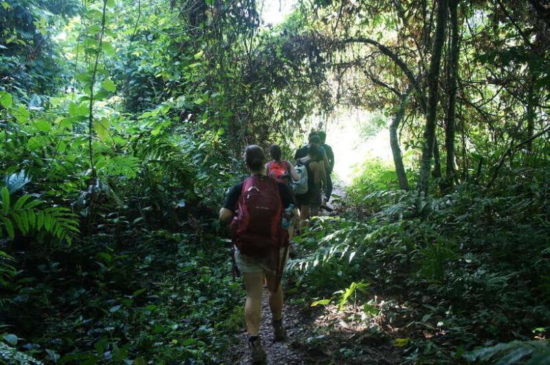 vang-vieng-jungle-caves-full-day-private-trekking-tour
