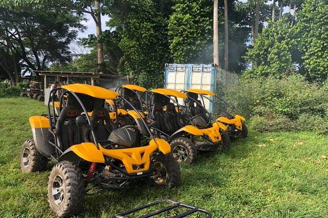 Vanuatu Buggy Adventure with Yumi Tours - Detailed Breakdown of the Tour Experience