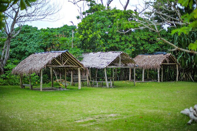 Vanuatu Cultural Village, Waterfalls, Turtles and Blue Lagoon - Final Thoughts