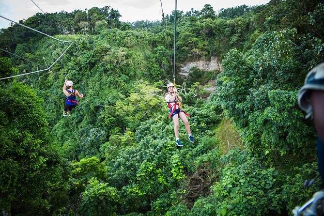 Vanuatu Jungle Zipline - Self Drive Option - An Overview of the Experience