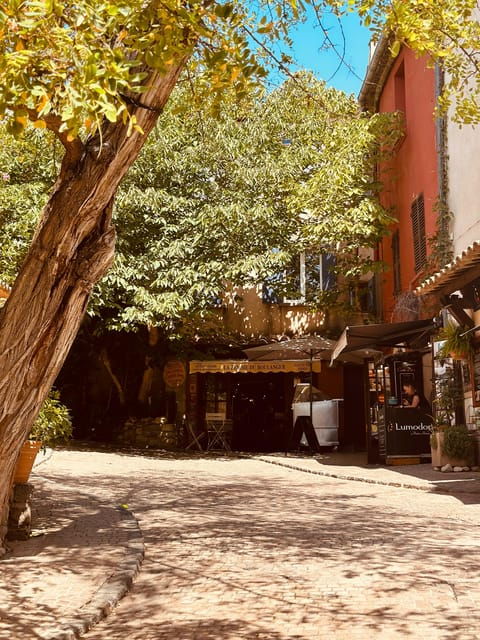 var-customized-day-trip-with-driver-guide