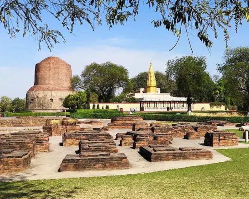 Varanasi: Guided Tour of Varanasi & Sarnath By AC Car - Analyzing the Value