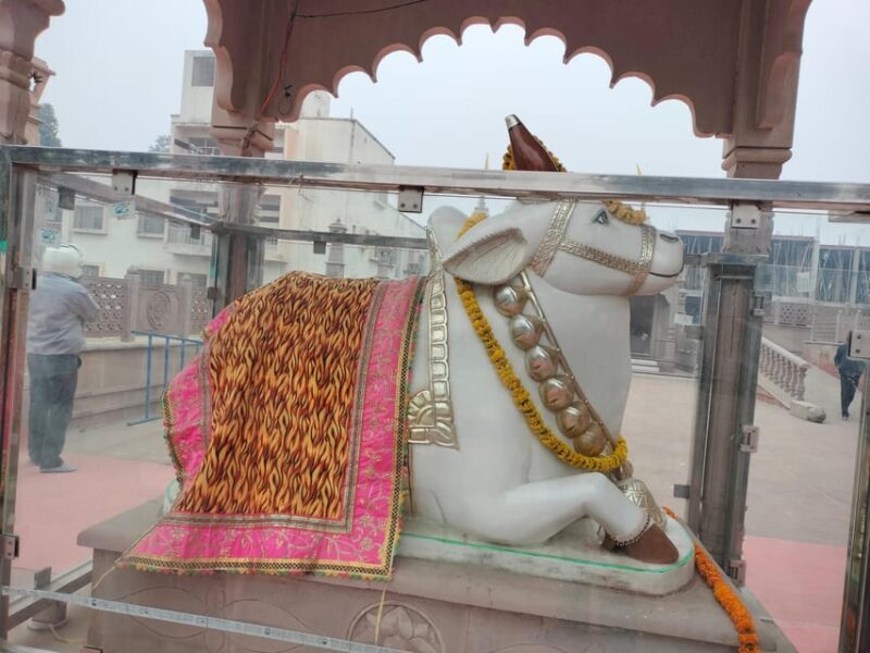 Varanasi & Sarnath Full Day Tour With Boatride Ganga Aarti - Who Will Love This Tour?